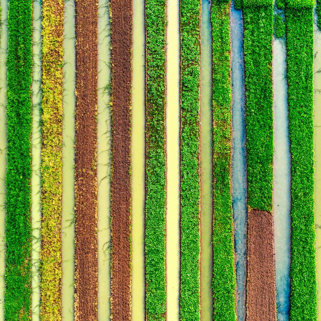 We're Treating Our Most Precious Resource Like Dirt