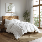 Organic Cotton Comforter