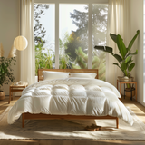 Organic Cotton Comforter