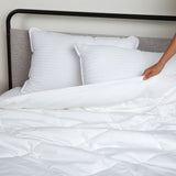 Organic Cotton Comforter