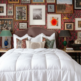 Organic Cotton Comforter