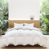Organic Cotton Comforter